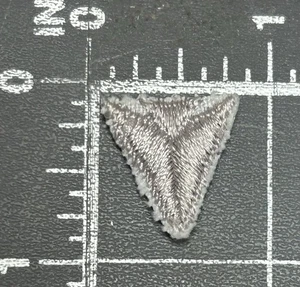 Silver Arrowhead Arrow Point Boy Scouts of America BSA Scouting Badge Patch - Picture 1 of 2