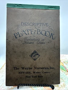 Vintage BESCHREIBENDES TELLERBUCH Newark NY Kinderzimmer BONTANISCHER DRUCK Blumenbilder - Bild 1 von 15