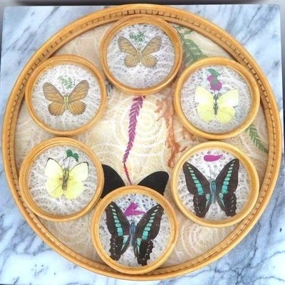 Juego de Montaña Rusa Mariposa China - Bambú y Vidrio - 11" Diamante - Nuevo en Caja Foto 1 de 4