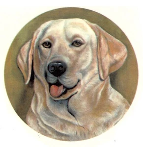 Calcomanías de cerámica para tobogán acuático con sobreesmalte Golden Retriever para perros - Imagen 1 de 1