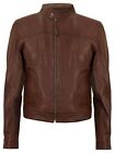 Men's Fitted Brown Real Soft Genuine Leather Classic Collar Jacket