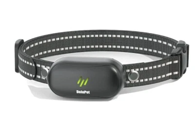DeluPet Dog Training Collar Receiver, Single Collar Without Remote