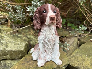 Vivid Arts Springer Spaniel Statue – Realistic Garden Ornament, Dog Figurine - Picture 1 of 6