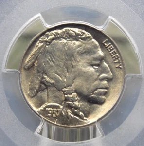 1937 "P" Indian Head BUFFALO Nickel 5c PCGS MS65 #197 Gem BU Unc ECC&C, Inc. - Picture 1 of 5