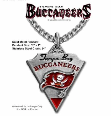 ENVÍO GRATUITO COLLAR TAMPA BAY BUCCANEERS 24" CADENA ACERO FÚTBOL ¡LO ÚLTIMO! NFL A' Foto 1 de 4