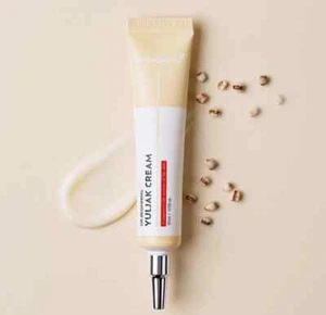 DR.BEGINNING YULJAK Cream 30ml / 1.01oz Improvement Of Skin Texture Pore Care - Picture 1 of 3