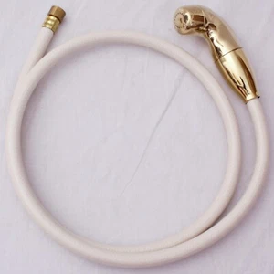 Moen 106103P Hose & Spray in Polished Brass for Monticello Kitchen Faucet & Sink - Picture 1 of 2