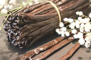 Frijoles de vainilla bourbon orgánicos frescos de Madagascar grado A [enteros] - Imagen 1 de 9