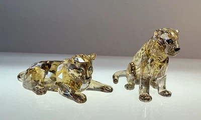 Swarovski SCS 2019 Amur Leopard Cubs (5428542) With Original Box - image 1 of 4