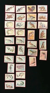 LOT 33 ANCIENS BONS POINTS ECOLE PUB BLEDINE ANIMAUX OISEAUX POISSONS - Imagen 1 de 5