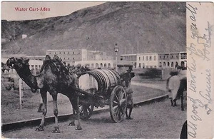 ADEN ETHNISCHES KAMEL & WASSERWAGEN POSTKARTE - Bild 1 von 1