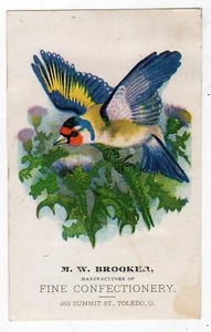 TOLEDO OHIO*M W BROOKER*CONFECTERÍA FINA*183 Summit St*tarjeta comercial victoriana #1 - Imagen 1 de 2