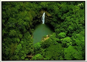 Vintage Hawaii HI Postcard Oahu Waimea Falls Park - Picture 1 of 3