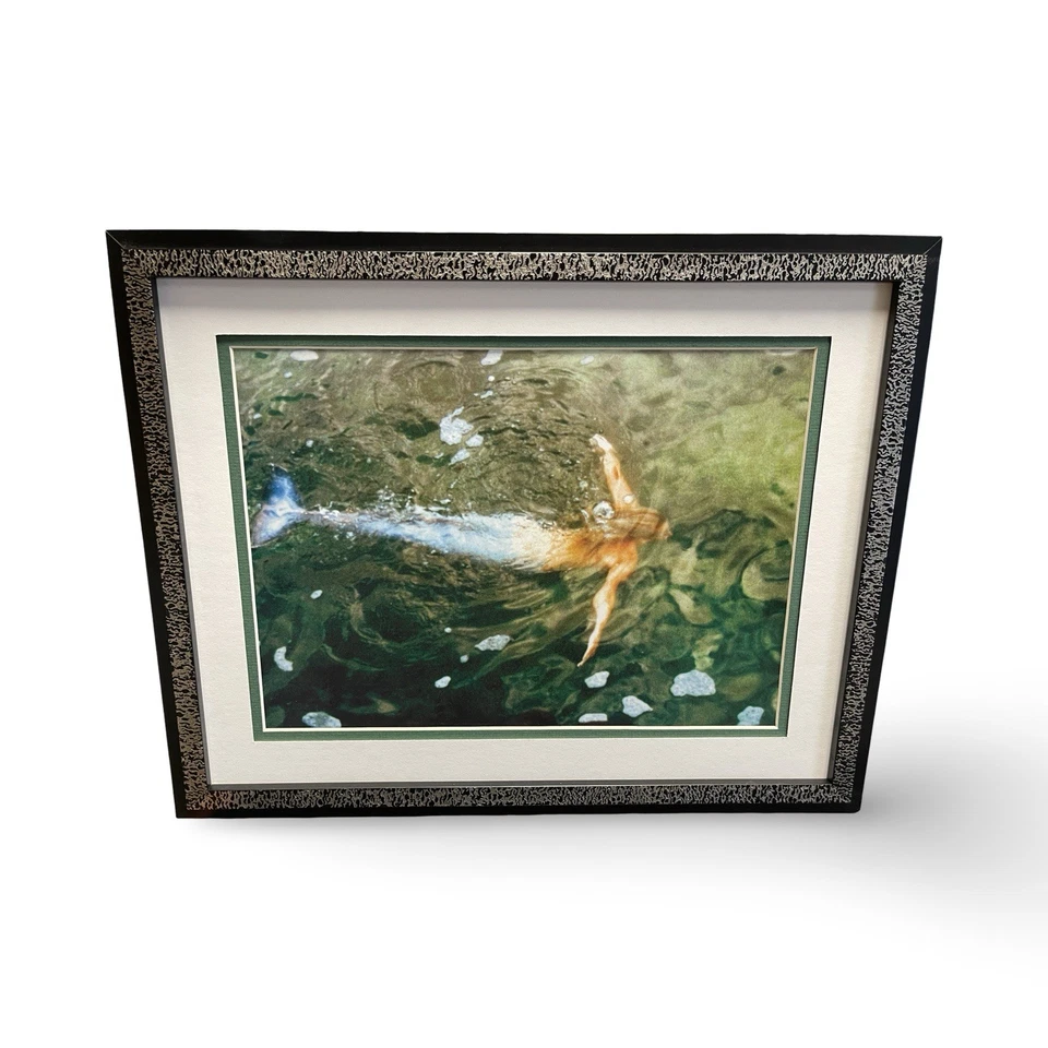 By Jason Gold Custom Framed Photography Ocean Mermaid Underwater - Image 1 of 2