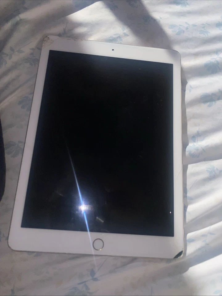 Apple iPad Pro 1ª Generación MLMX2LL/A 9.7" WI-FI, Dorado Foto 1 de 2