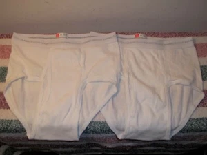 Vtg Unworn 2 PAIRS HANES BRIEFS UNDERWEAR Size 34 Made In USA - Picture 1 of 5
