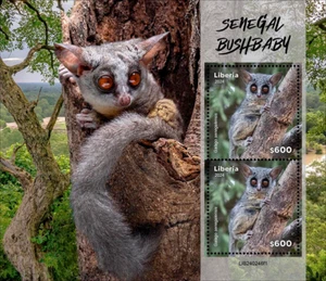 LIBERIA 2024 SENEGAL BUSHBABY SET OF TWO SHEETS MINT NH - Picture 1 of 2