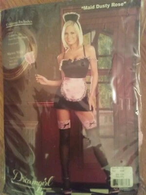 Dreamgirl "Maid Dusty Rose" Costume Size Small NWT - Image 1 of 4