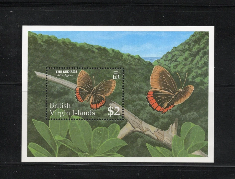 S6229 英属维尔京群岛 1991 蝴蝶 SHEET 全新无标签 — 第 1/1 张图片