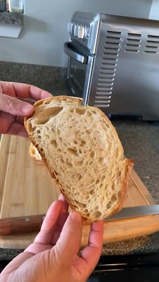 El iniciador de masa madre seca de una masa madre madura hace un pan hermoso  Foto 1 de 4