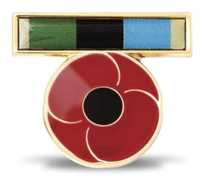 2643 REMEMBER THEIR SERVICE MIDDLE EAST RIBBON POPPY 25MM LAPEL PIN BADGE ANZAC - Foto 1 di 1