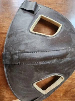 Casco parachoques caballo Foto 1 de 3