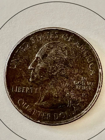 Kansas 2005 P ERROR quarter, improperly annealed BLACK BEAUTY Cover