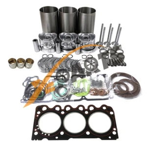 Overhaul Rebuild Kit For Deutz F3L2011 Engine - Picture 1 of 9