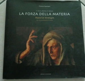 IL SACRO MONTE DI VARESE LA FORZA DELLA MATERIA DI FRANCO CANZIANI 2011 - Picture 1 of 5