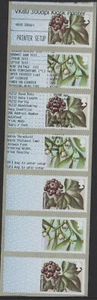 ERROR! WINTER GREENERY CL18S PRINTER SETUP TYPE 1 SINGLE LINE BOX POST GO - Picture 1 of 1