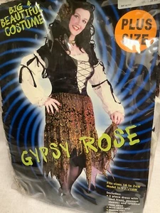 Disfraz rosa gitana adulto para mujer talla grande 16-24W - Imagen 1 de 5