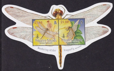 PITCAIRN ISLANDS 2009 Glider Dragonfly Miniature Sheet SG MS790 MNH/** (CV £11) Cover
