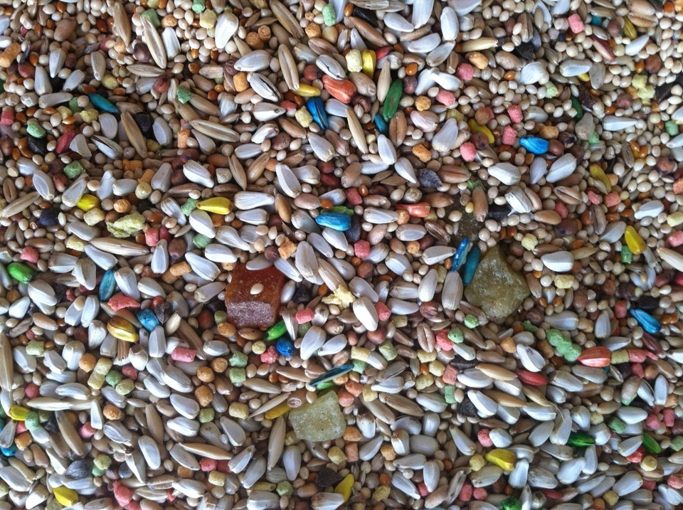 INDEPENDENT'S CHOICE FEED® FORTIFIED NO SUNFLOWER COCKATIEL SEED 20LBS BIRD FOOD