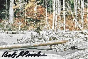 Bob Gimlin auto/signed 4x6 photo "Bigfoot" Patterson-Gimlin EXTRA RARE LOOK!!! - Picture 1 of 1