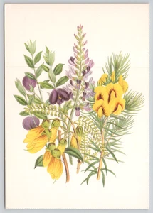 Postal Sophora Damas Flor Jardín de Plantas Ornamentales de Invernadero 1995 - Imagen 1 de 2