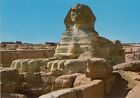 06559 - Postcard Showing The Sphinx At Giza, Egypt