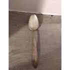 National Silver Co Tablespoon Serving Spoon Princess Royal Silverplate 1930