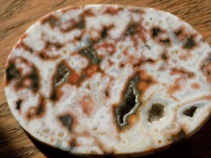 AAA OCEAN JASPER MEDALLION SLAB SLICE LAPIDARY CAB   6317 - Picture 1 of 8