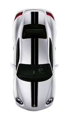 Calcomanía gráfica personalizada Porsche Cayman 2005-2014 987 totalmente ovalada doble rally a rayas Foto 1 de 4