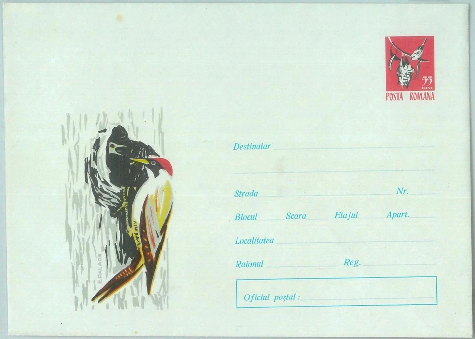 87575 - RUMANÍA - HISTORIA POSTAL - CUBIERTA DE PAPELERÍA 1965 - PÁJAROS Pájaro carpintero Foto 1 de 1
