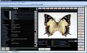 Butterfly Lepidoptera Collector Image Database Software CDROM suit Windows  - Picture 1 of 1