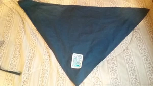 LAKE PLACID XIII OLYMPIC GAMES ATHLETES VILLAGE EMPLOYEE'S HEAD GEAR FREE SHIP - Picture 1 of 4