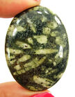 61.25 Ct Natural Panther Jasper Loose Gemstone Cabochon Wire Wrap Stone - 6737
