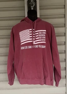 Sudadera con capucha Comfort Colors para hombre talla XL algodón básica CÓMO MÁS PUEDO OFENDERTE HOY - Imagen 1 de 11