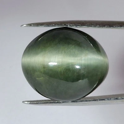 30.10Cts Top Quality Natural Green Cat's Eye Quartz Oval Cabochon Gemstone - Image 1 of 2