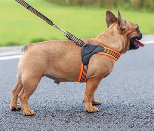 Breathable Nylon Mesh Dog Harness Reflective Adjustable Dog Harness and Leash Se - Picture 1 of 14