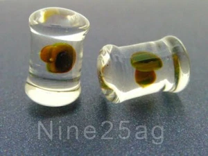 SET PYREX GLAS 6G GRÜN PILZ STECKER KÖRPERSCHMUCK - Bild 1 von 4