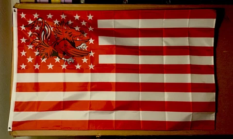 South Carolina Gamecocks banner Cover
