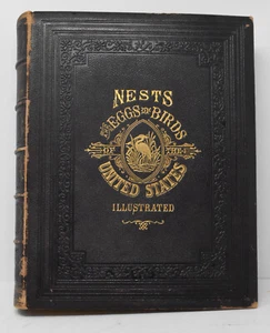 Nests and Eggs of Birds of the United States Thomas G. Gentry 1882 1st Edition - Bild 1 von 8