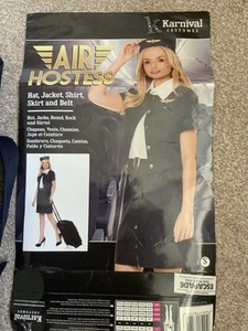 Air Hostess Costume Ladies Role Play Festival Party Hen trolley dolly - Picture 1 of 4